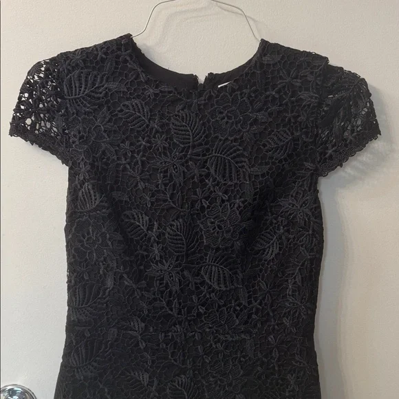 Alice + Olivia Rapunzel Dress - Picture 15 of 16